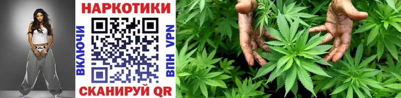 Виды наркоты Шилка Cocaine  MEGA как зайти  ГАШИШ  Канабис  Меф  A PVP 