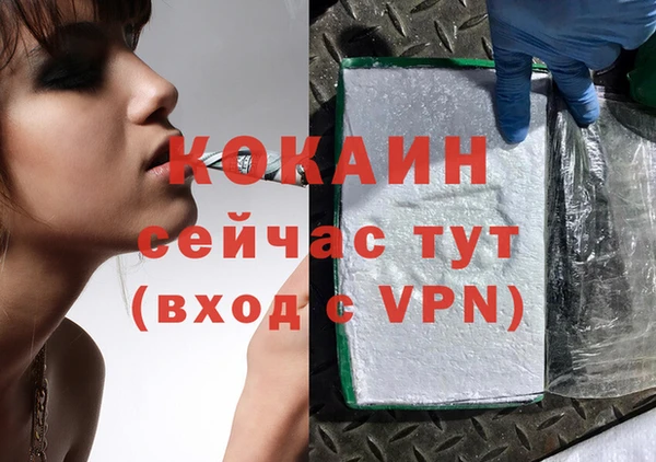 СК Кукмор
