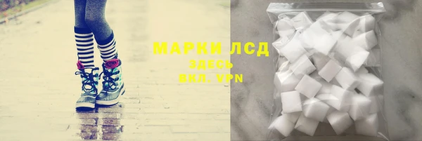 стаф Липки