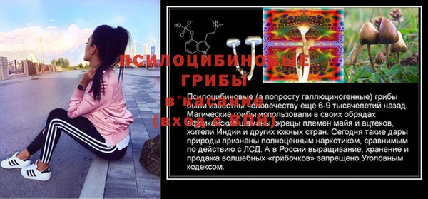СК Кукмор