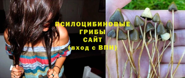 стаф Липки