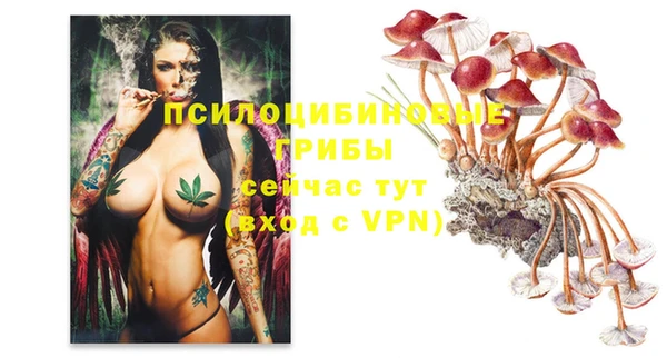 твердый Лиски