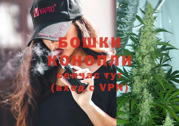 индика Красноперекопск