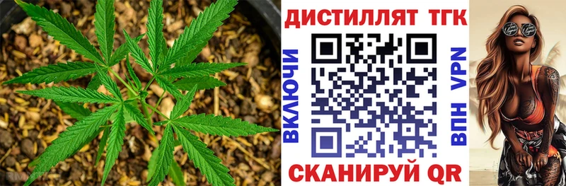 Дистиллят ТГК вейп Шилка