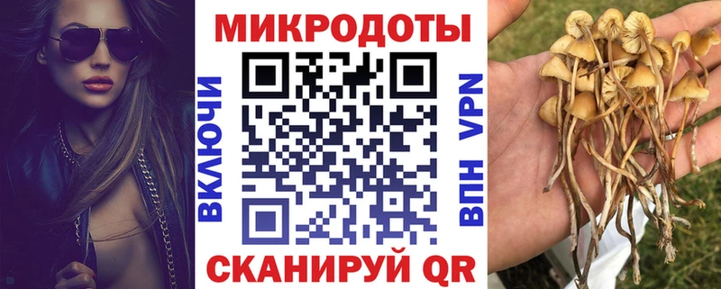 Галлюциногенные грибы Magic Shrooms  Шилка 